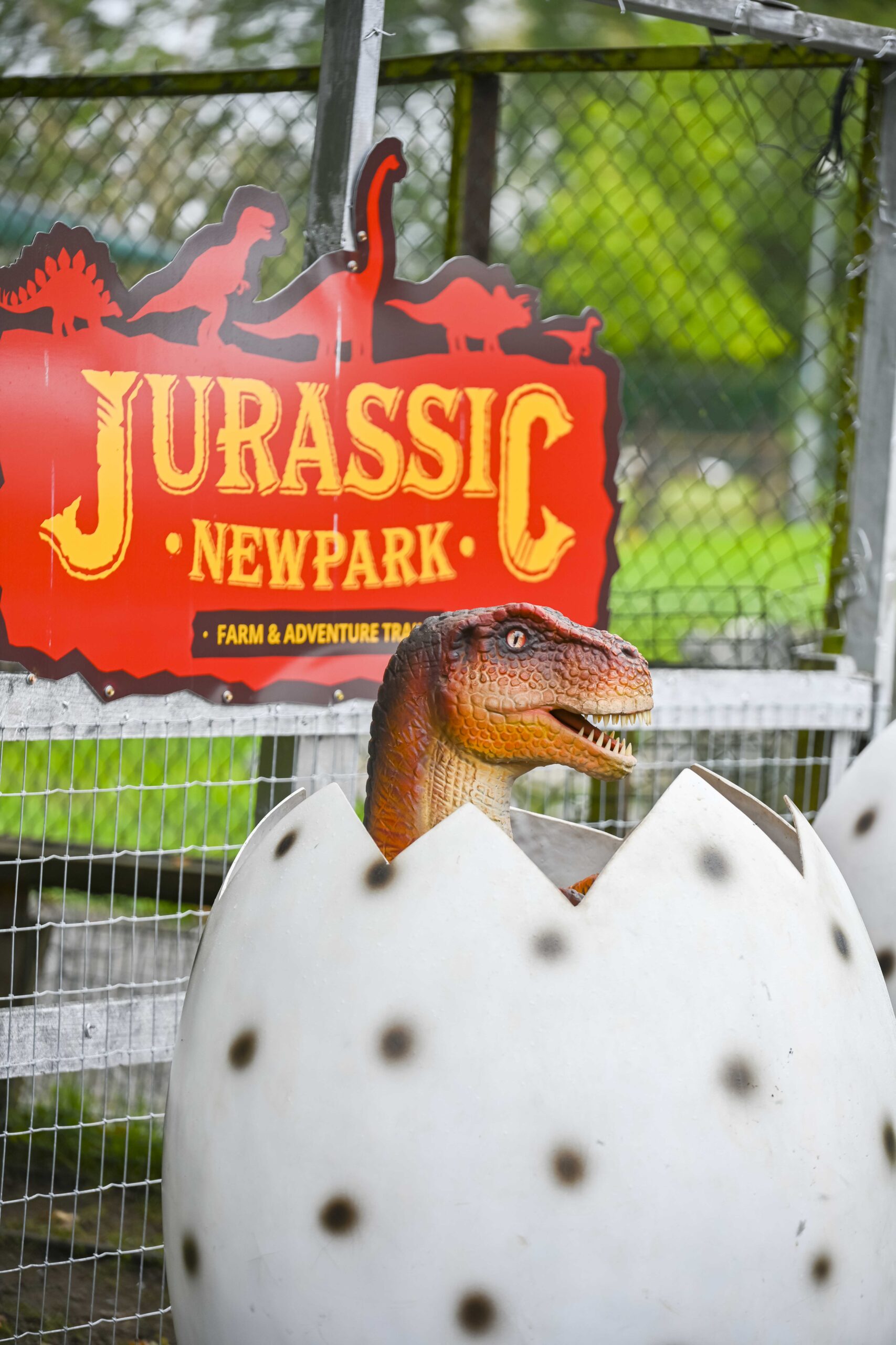 New Park Hotel Jurassic Park Pictures _15